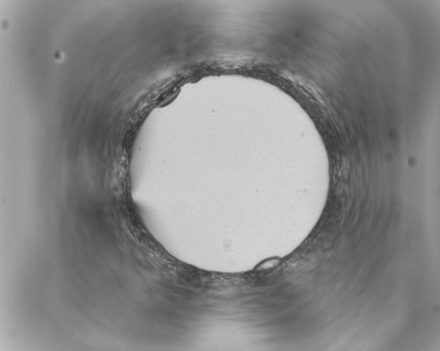 X0000088161349200706051041