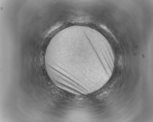 X0000088161350200706051041