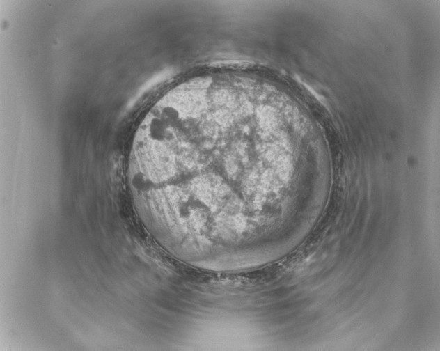 X0000088161351200706051041