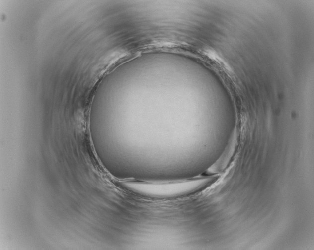 X0000088161353200706051041