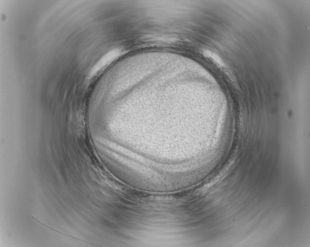 X0000088161354200706051041