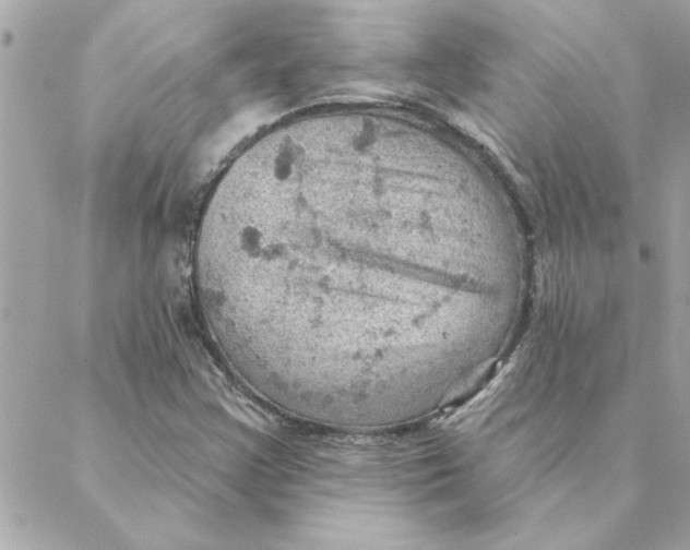 X0000088161355200706051041