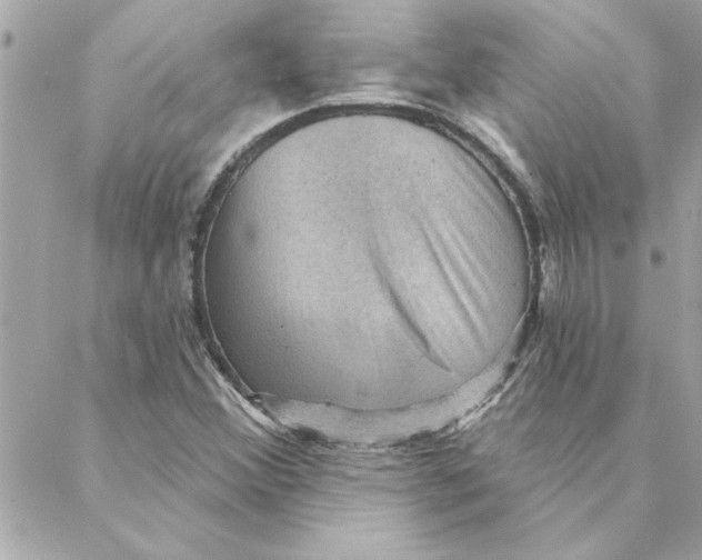 X0000088161356200706051041