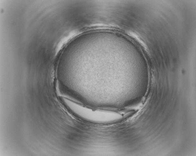 X0000088161357200706051041