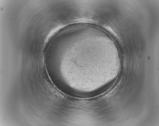 X0000088161358200706051041