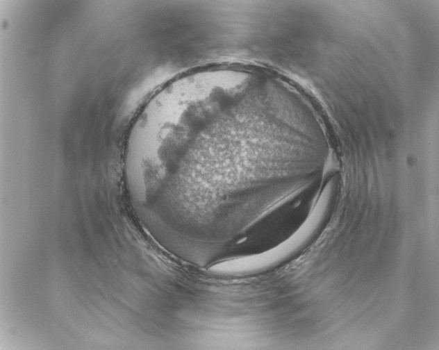 X0000088161359200706051041