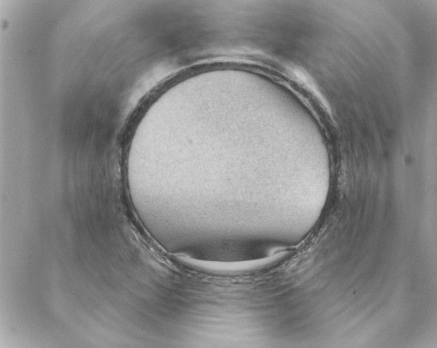 X0000088161360200706051041