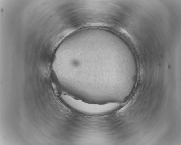 X0000088161361200706051041