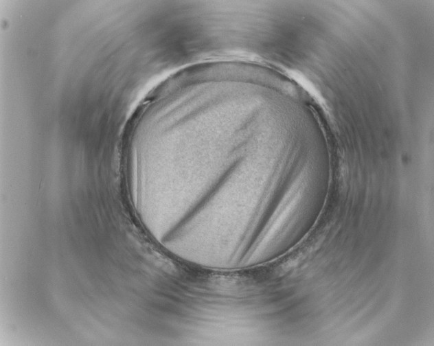 X0000088161364200706051041