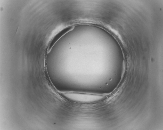 X0000088161365200706051041