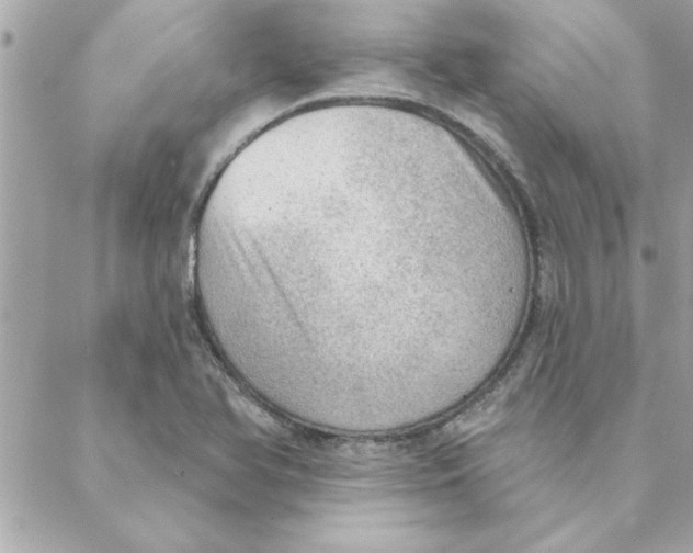 X0000088161366200706051041