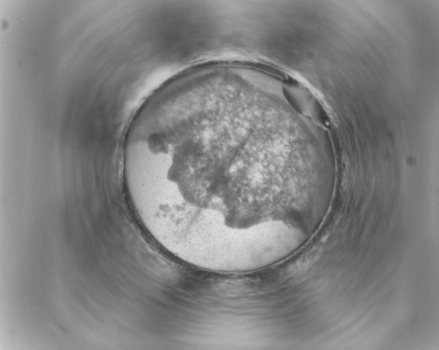 X0000088161367200706051041