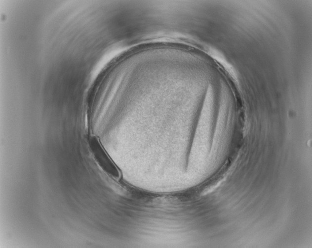 X0000088161368200706051041