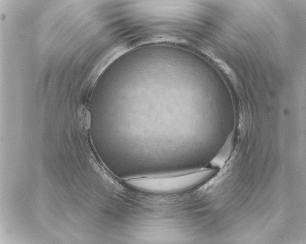 X0000088161369200706051041