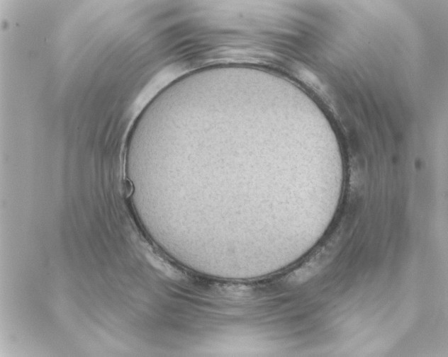 X0000088161370200706051041