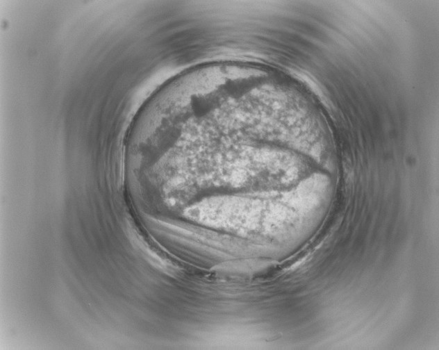 X0000088161371200706051040