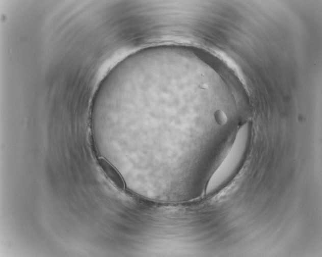 X0000088161373200706051040