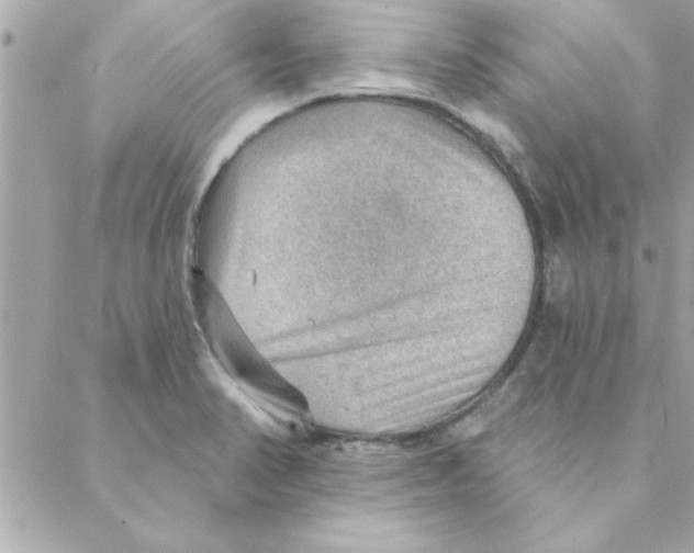 X0000088161374200706051040