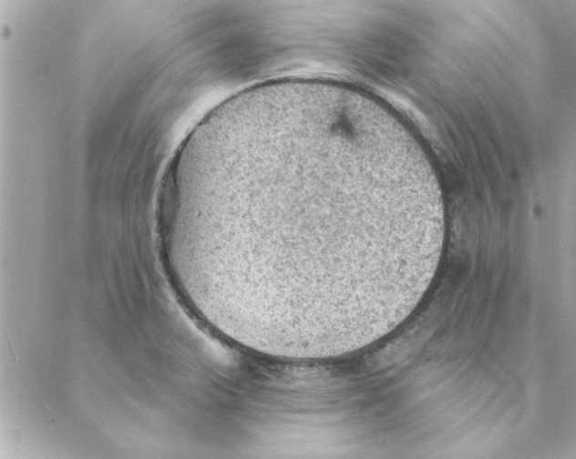 X0000088161375200706051040