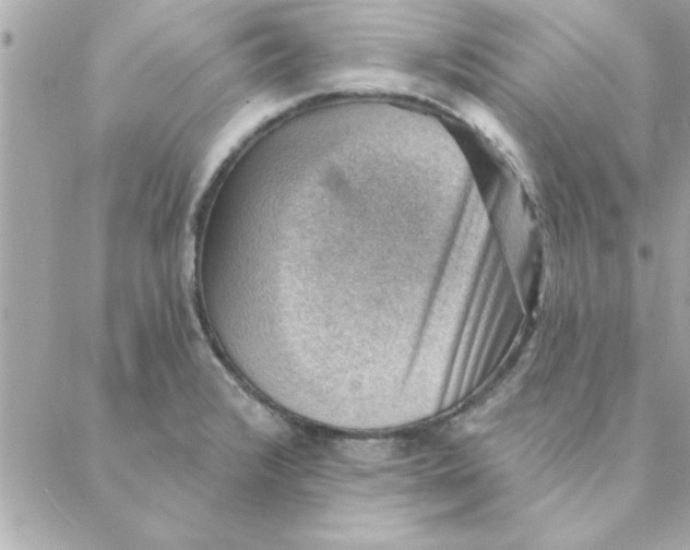 X0000088161376200706051040