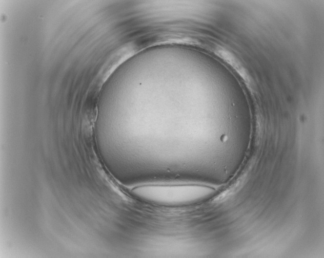 X0000088161377200706051040