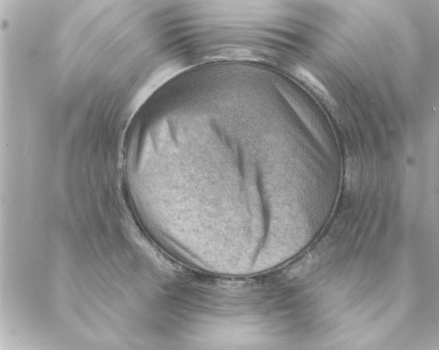 X0000088161378200706051040