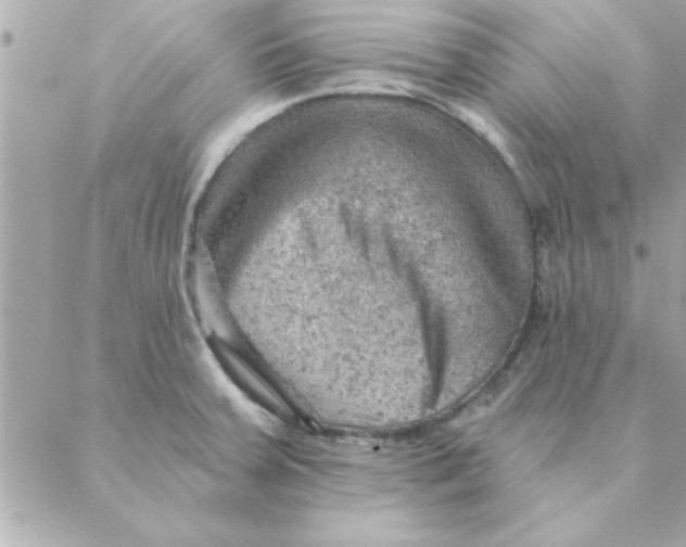 X0000088161379200706051040