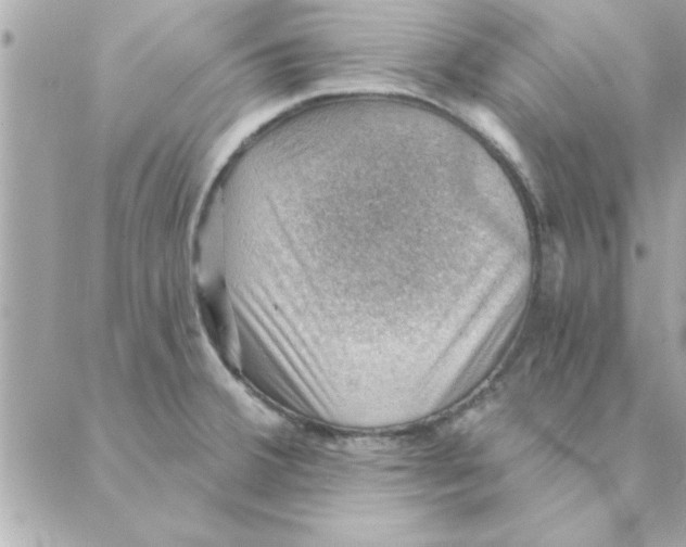 X0000088161380200706051040