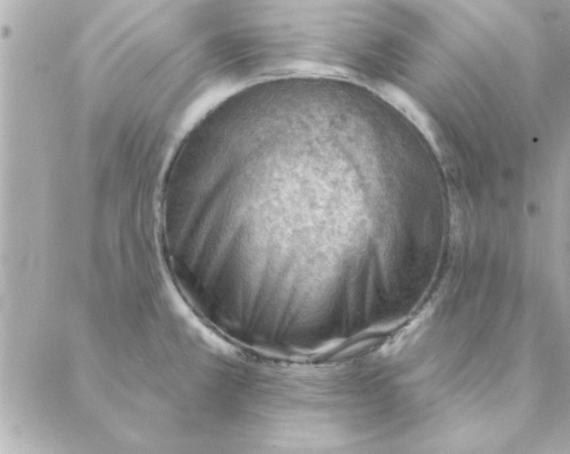 X0000088161381200706051040