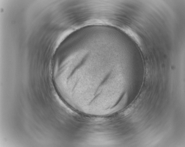 X0000088161382200706051040