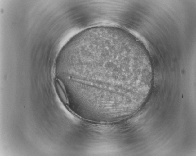 X0000088161383200706051040