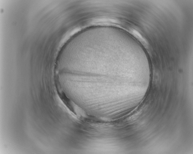 X0000088161384200706051040