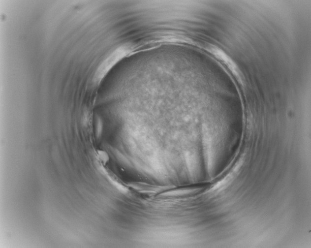 X0000088161385200706051040