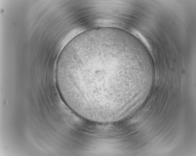 X0000088161386200706051040