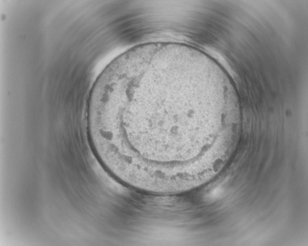 X0000088161387200706051040