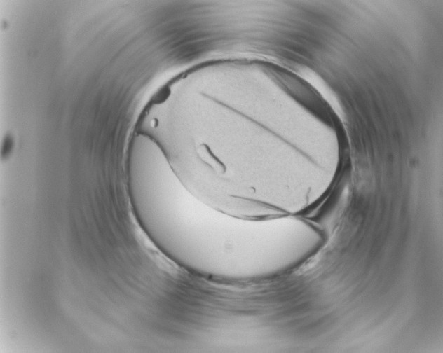 X0000088161388200706051040