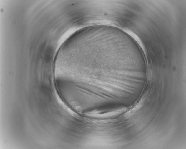 X0000088161389200706051040