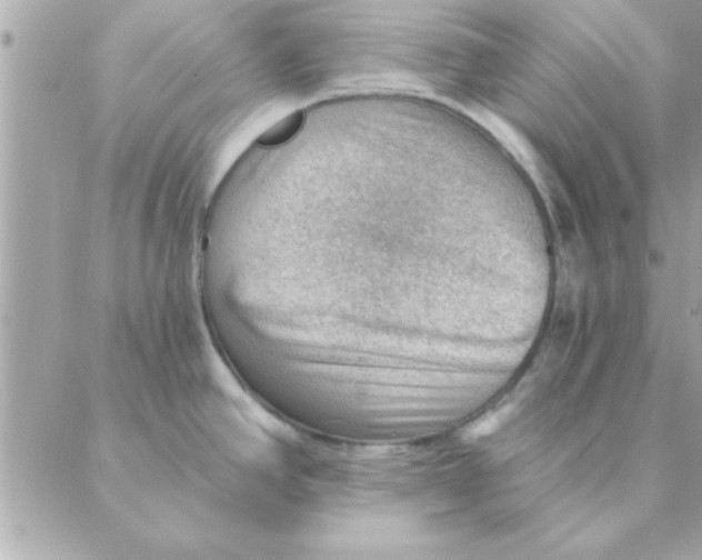 X0000088161390200706051040