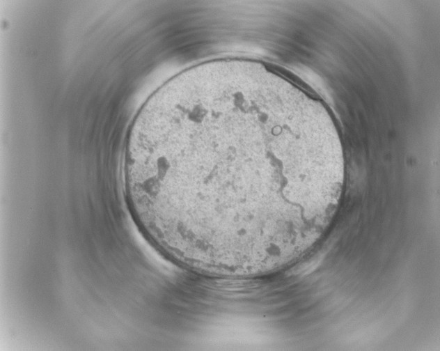 X0000088161391200706051040