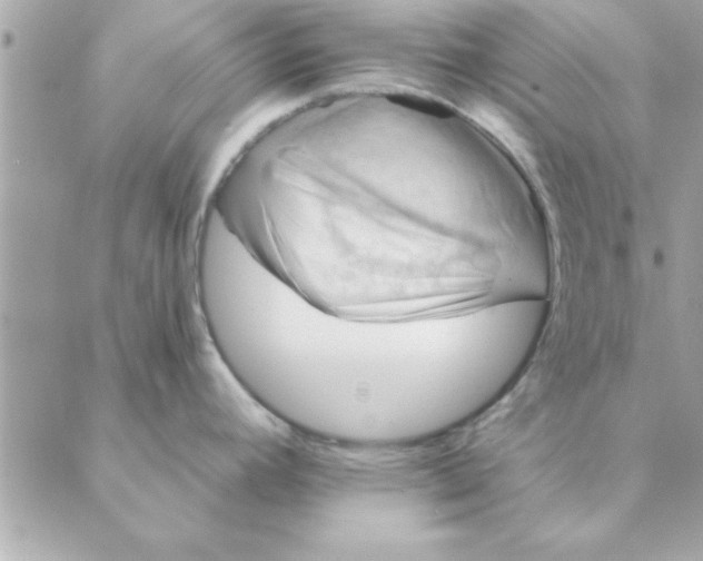 X0000088161392200706051040