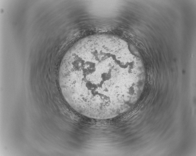 X0000088161393200706051039