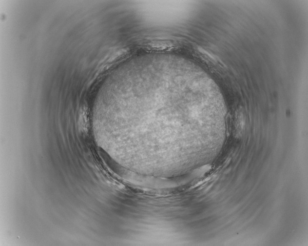 X0000088161394200706051039