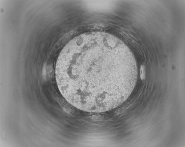 X0000088161395200706051039