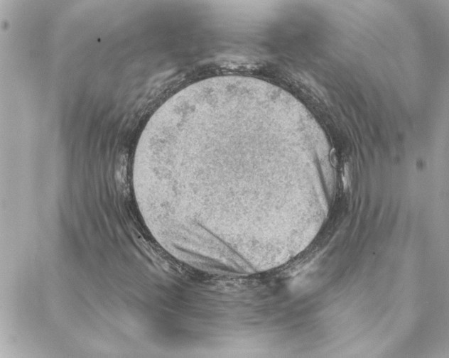 X0000088161396200706051039