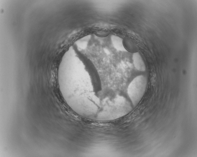 X0000088161397200706051039