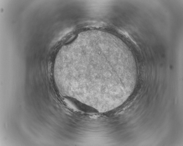 X0000088161399200706051039