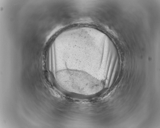 X0000088161400200706051039