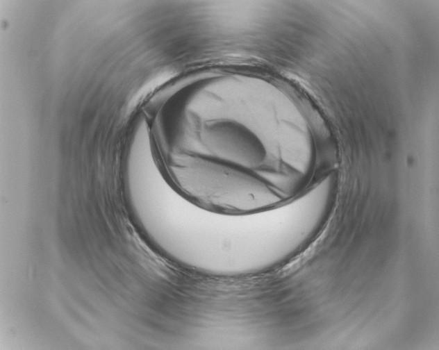 X0000088161402200706051040