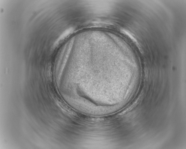 X0000088161403200706051040