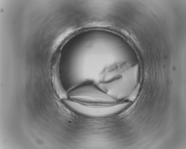 X0000088161406200706051040